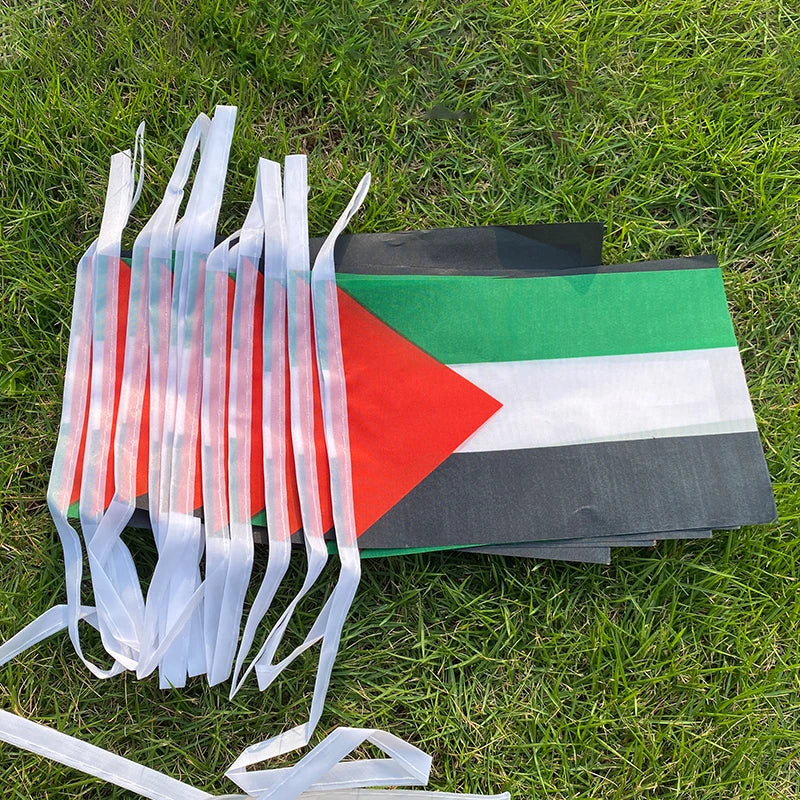 Aerlxemrbrae 20pcs/lot Palestine bunting flags 14x21cm Pennant Palestine String Banner Buntings Festival Party Holiday