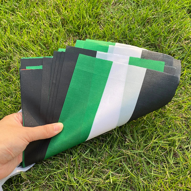 Aerlxemrbrae 20pcs/lot Palestine bunting flags 14x21cm Pennant Palestine String Banner Buntings Festival Party Holiday